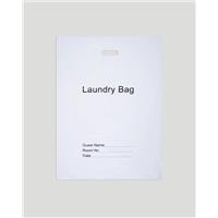 LAUNDBAG100